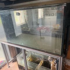 fish tank and sump