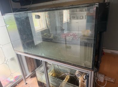 fish tank and sump