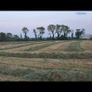 Round Bales Image 8