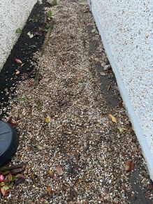 decorative stone free to take