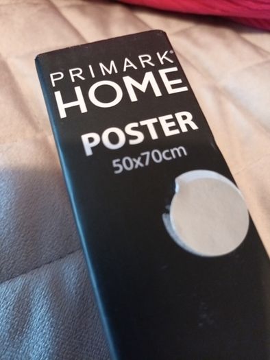 Black/white  female form wall poster