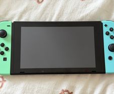 Animal Crossing Themed Nintendo Switch