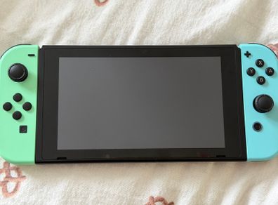 Animal Crossing Themed Nintendo Switch