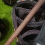 Taylormade Milled Grind High Toe Raw Gap Wedge Image 10
