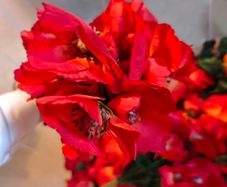 poppy flower faux silk flower bundle wholesale