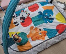 Baby Einstein playmat