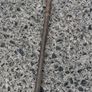Vintage Swaine Hunting Whip Image 3
