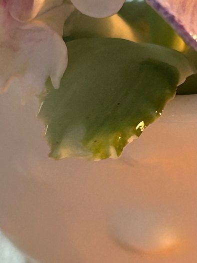 Vintage Royal Doulton bone china floral bouquet in a shell