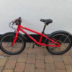 Frog Bike