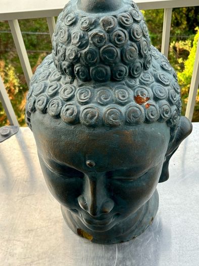 Buddha head