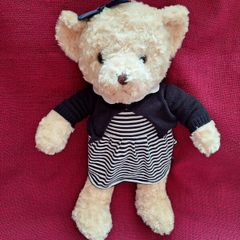 Paul Costello Bear