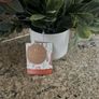 artificial plant in white pot home decor Image 4
