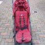 Buggy Image 2