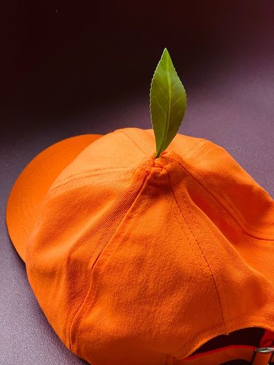 designer cap