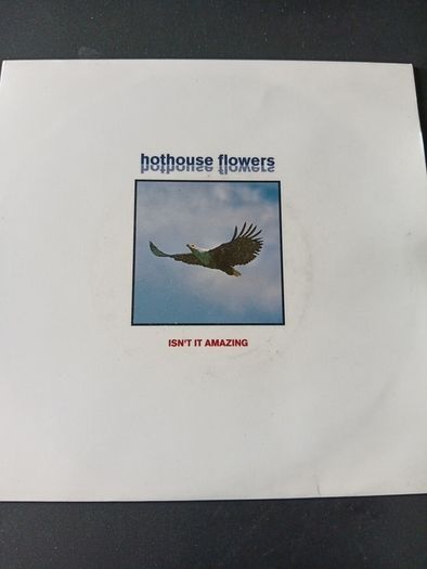 Bundle Of 20  X  7" Vinyl Singles ( All Irish Rock /indie)