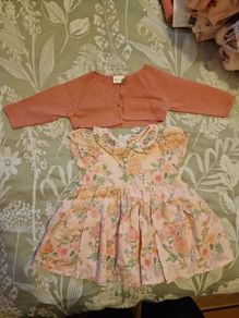 Next baby girl dress