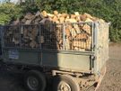 firewood Image 5