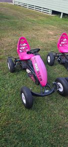 Berg Go Kart