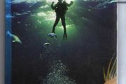 Underwayer Ireland - Guide To Irish Dive Sites