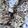 Paul Costello faux fur scarf Image 2