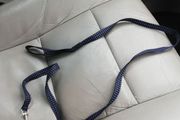 dog lead
