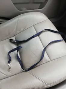 dog lead