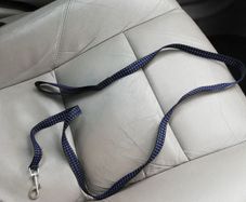 dog lead
