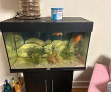 fish tank