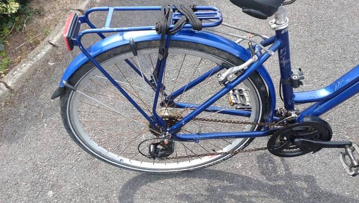 Raleigh Pioneer 1 ladies bike