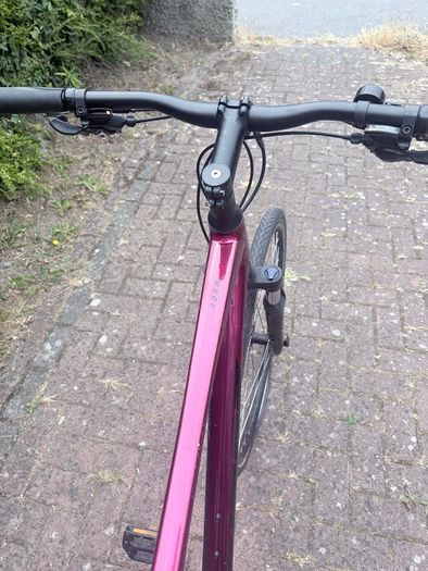 Giant roam 3