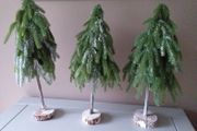 Christmas Trees X 3