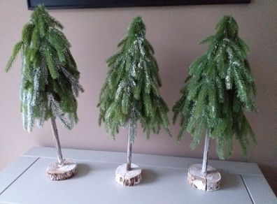Christmas Trees X 3