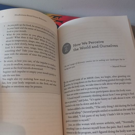 Mindfulness-Based Stress Reduction - Lehrhaupt & Meibert