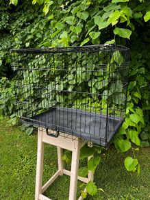 Dog crate