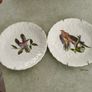 SET OF 2 HANGING PLATE Alfred Meakin Audubon Birds of America Teacup Saucer 5.75 Inches. Image 2
