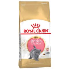 Quality Kitten Dry Food