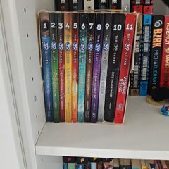 the 39 clues book series