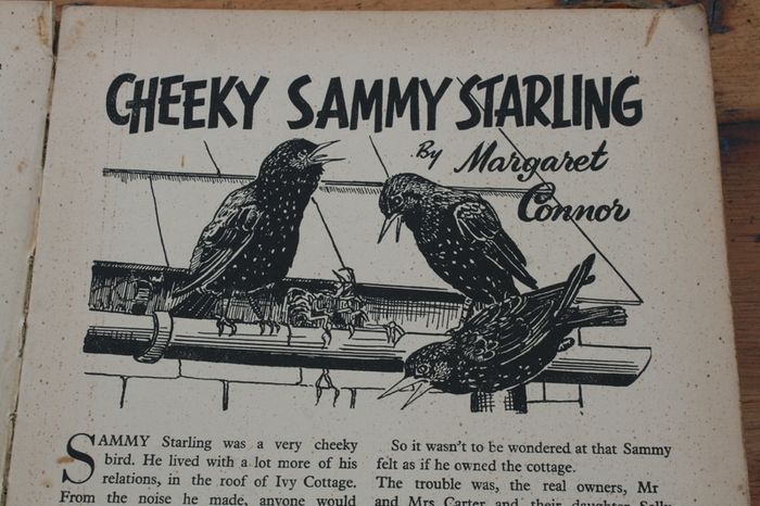 Merry-Go-Round : Stories for the younger girl & boy (1950's)