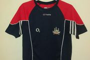 cork gaa jersey