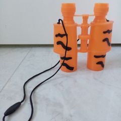 Plastic binoculars