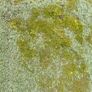 Artificial Grass Image 8