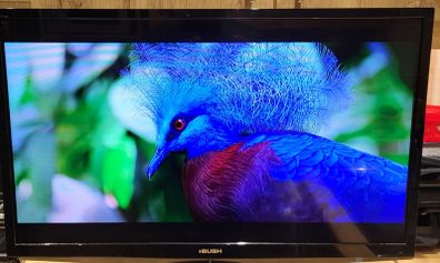 32" Tv Bush