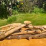 hand crafted drift  wood centre piece Image 10