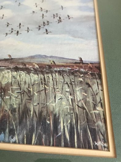 Painting - Hugh Monahan - "Widgeon Leaving the Lake, Mayo"