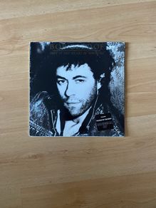 vinyl / record  / album