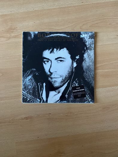 vinyl / record  / album