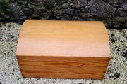 Vintage pine dome trunk