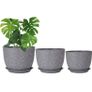 Plant pots, New Image 4