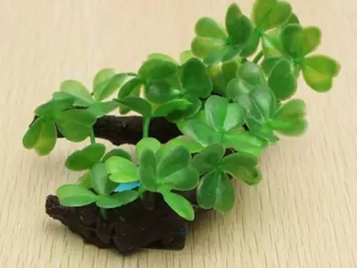 Plastic Aquarium Decorations Multicolor Artificial Plants