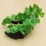Plastic Aquarium Decorations Multicolor Artificial Plants Image 5